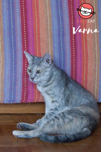 Photo of Varna